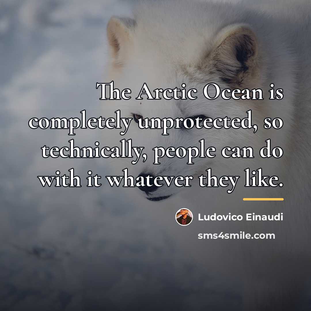 “The Arctic Ocean is completely unprotected, so technically, people can…” quote by Ludovico Einaudi