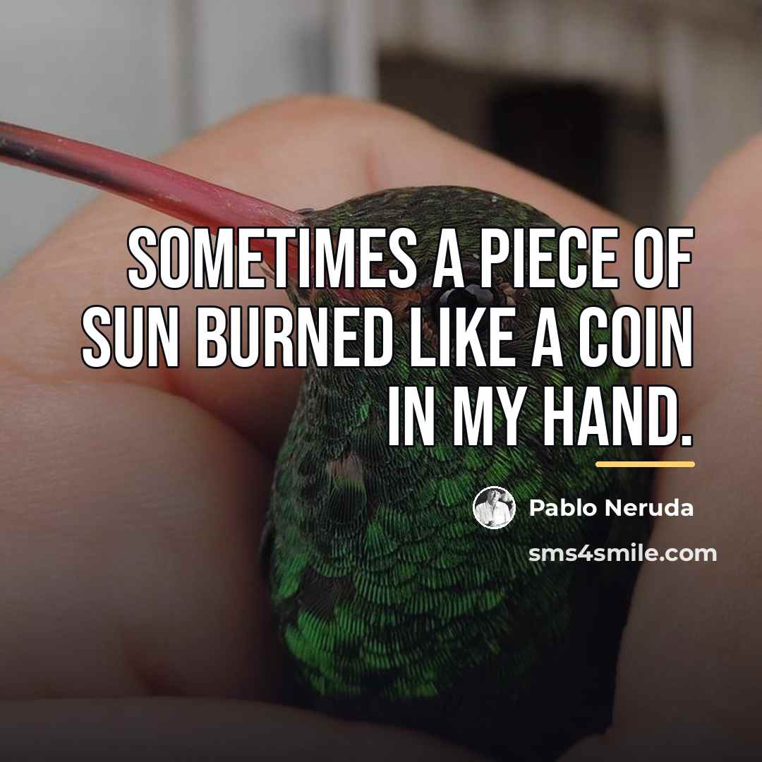 “Sometimes a piece of sun burned like a coin in…” quote by Pablo Neruda