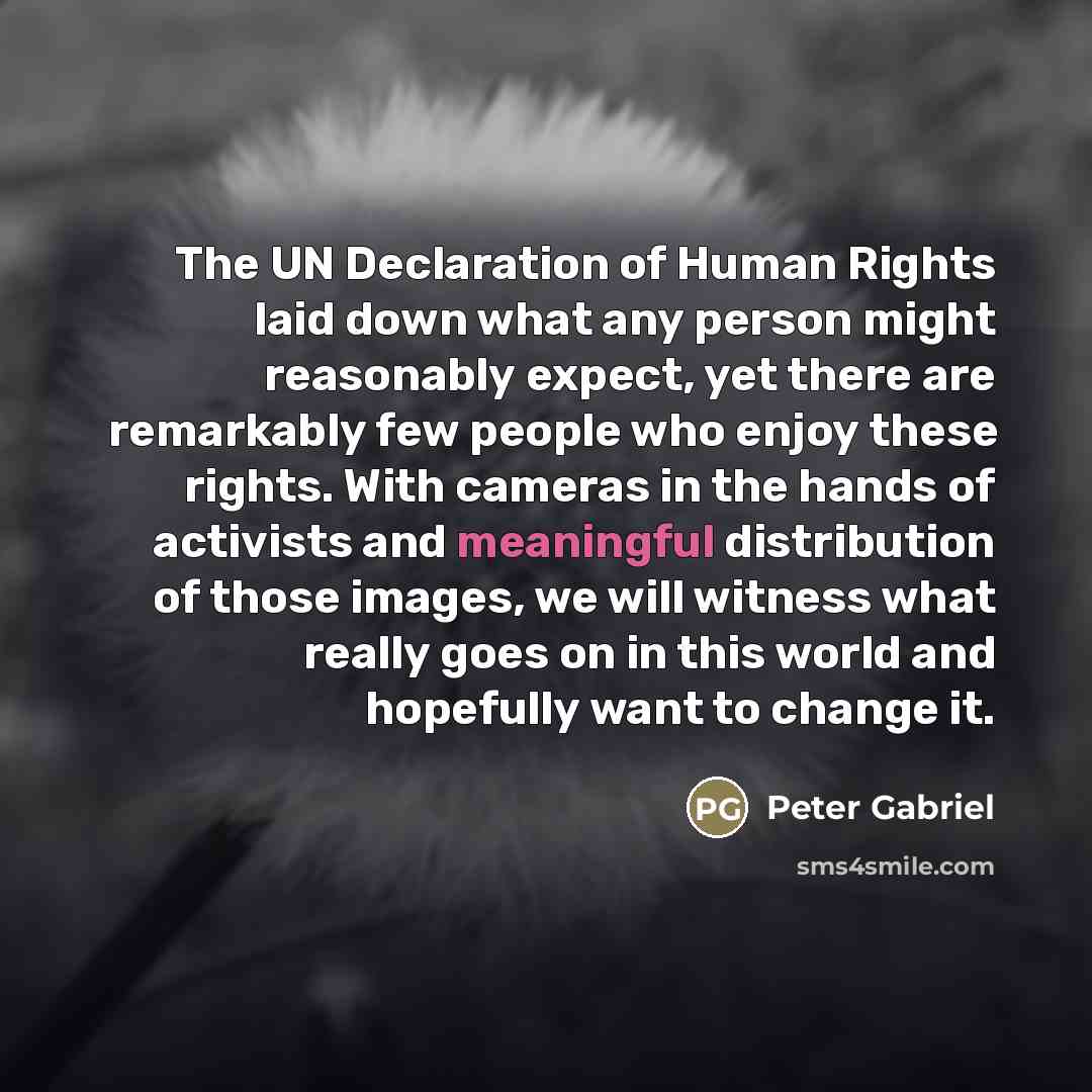 “The UN Declaration of Human Rights laid down what any…” quote by Peter Gabriel