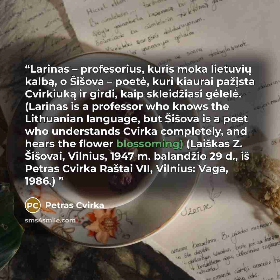 “Larinas – profesorius, kuris moka lietuvių kalbą, o Šišova – poetė, kuri kiaurai pažįsta Cvirkiuką ir girdi, kaip skleidžiasi gėlelė. (Larinas is a professor who knows the Lithuanian language, but Šišova is a poet who understands Cvirka completely, and hears the flower blossoming) (Laiškas Z…” quote by Petras Cvirka