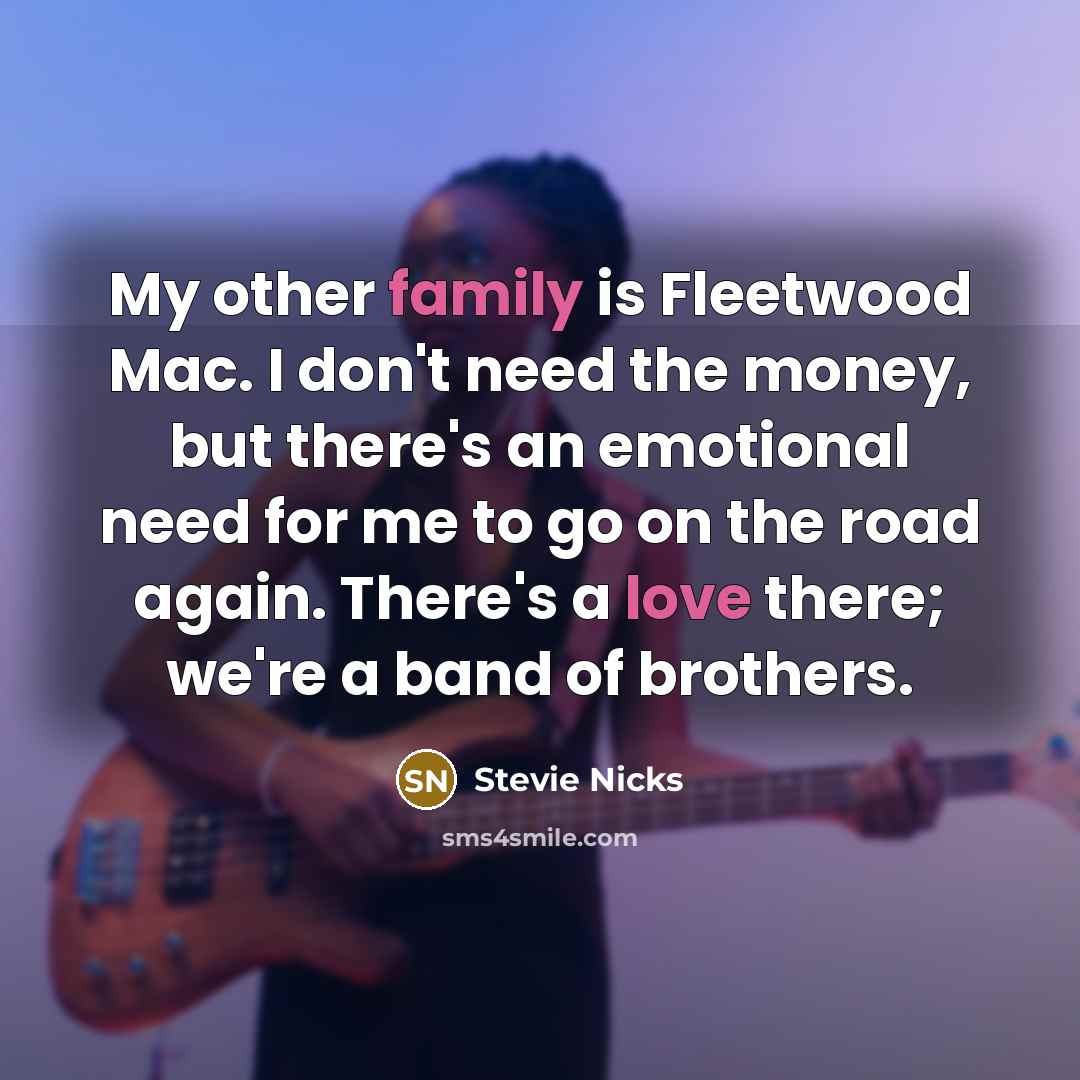 “My other family is Fleetwood Mac. I don't need the…” quote by Stevie Nicks