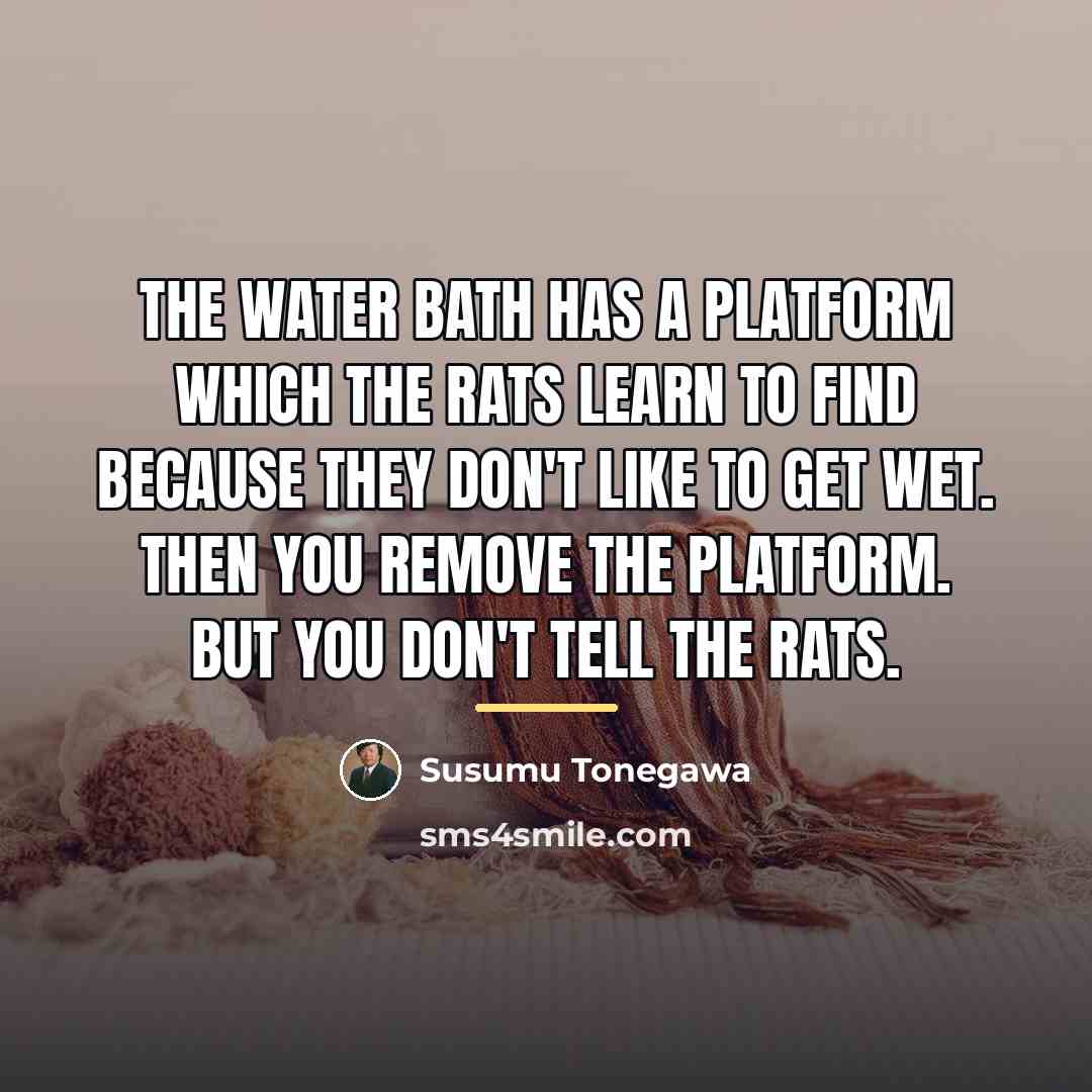 “The water bath has a platform which the rats learn…” quote by Susumu Tonegawa
