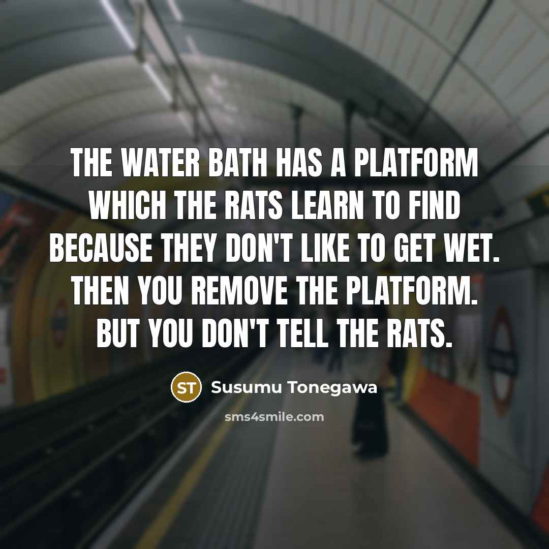 “The water bath has a platform which the rats learn to find because they don't like to get wet. Then you remove the platform. But you don't tell the rats.” quote by Susumu Tonegawa