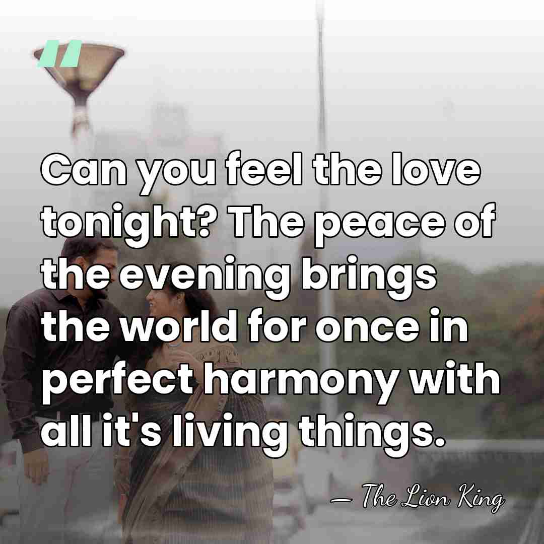 Can you feel the love tonight? The peace of the evening brings&hellip; - The Lion King