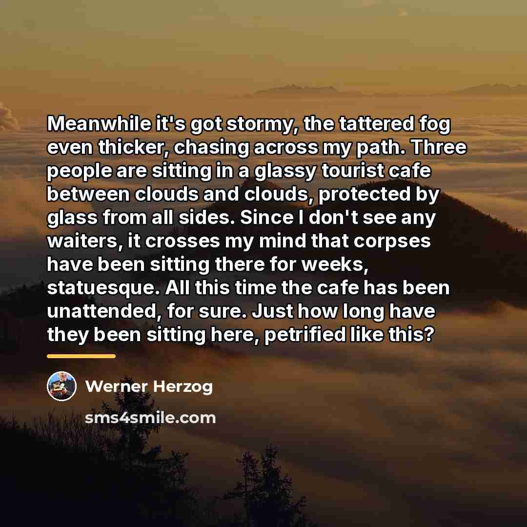 “Meanwhile it's got stormy, the tattered fog even thicker, chasing…” quote by Werner Herzog