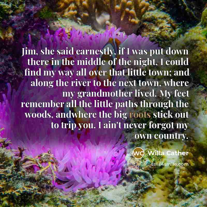 “Jim, she said earnestly, if I was put down there…” quote by Willa Cather