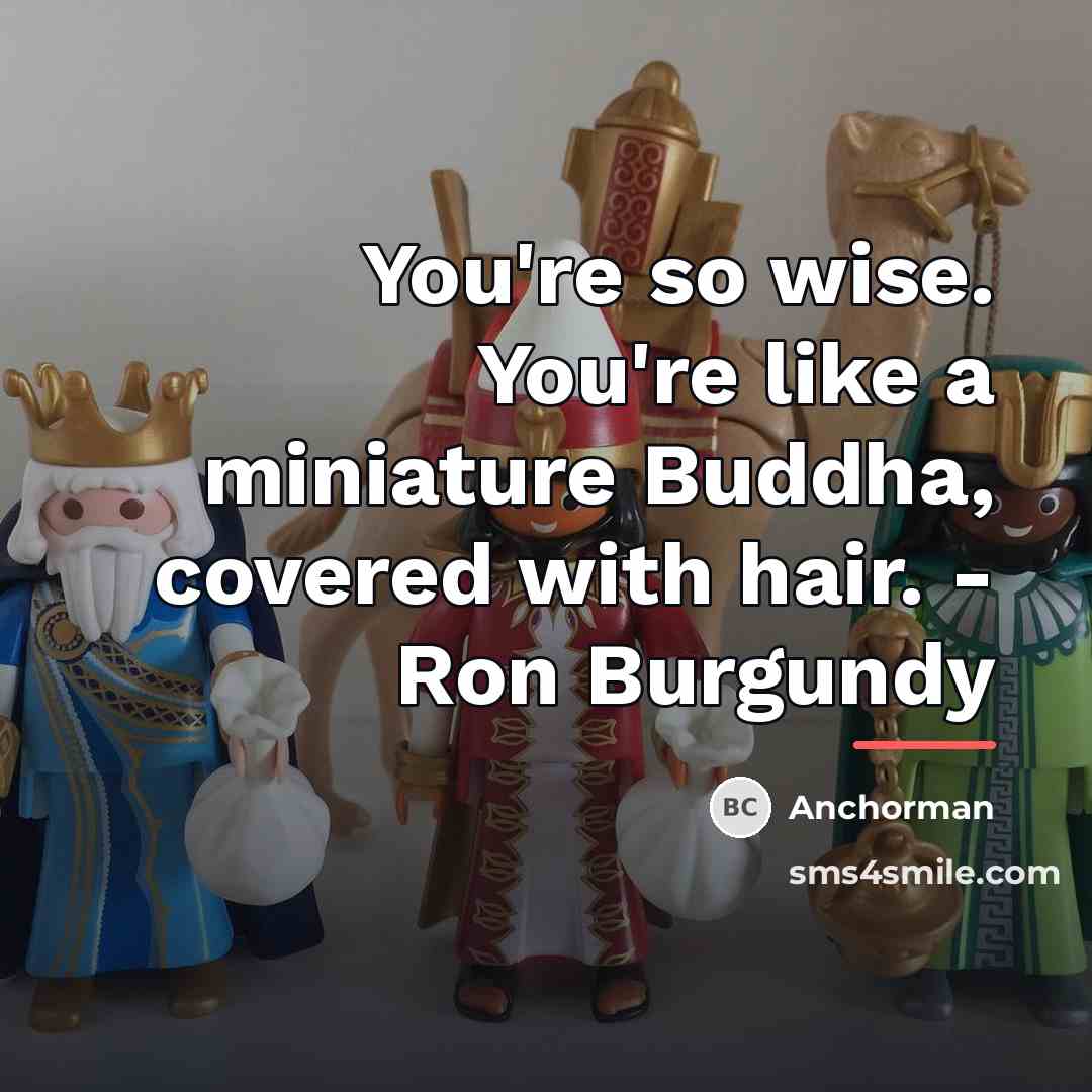“You're so wise. You're like a miniature Buddha, covered with…” quote by Anchorman