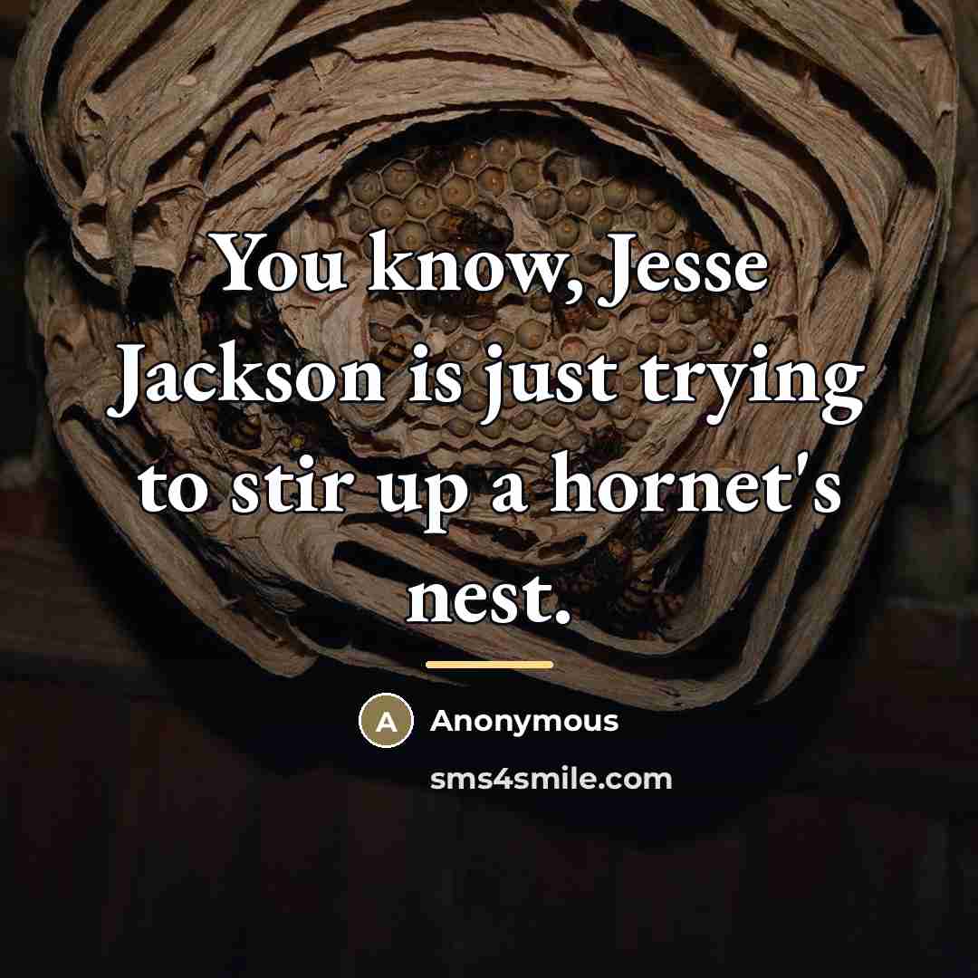 “You know, Jesse Jackson is just trying to stir up…” quote by Anonymous