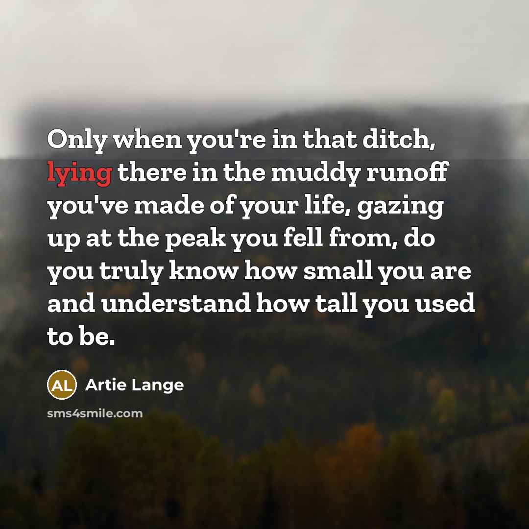 “Only when you're in that ditch, lying there in the…” quote by Artie Lange
