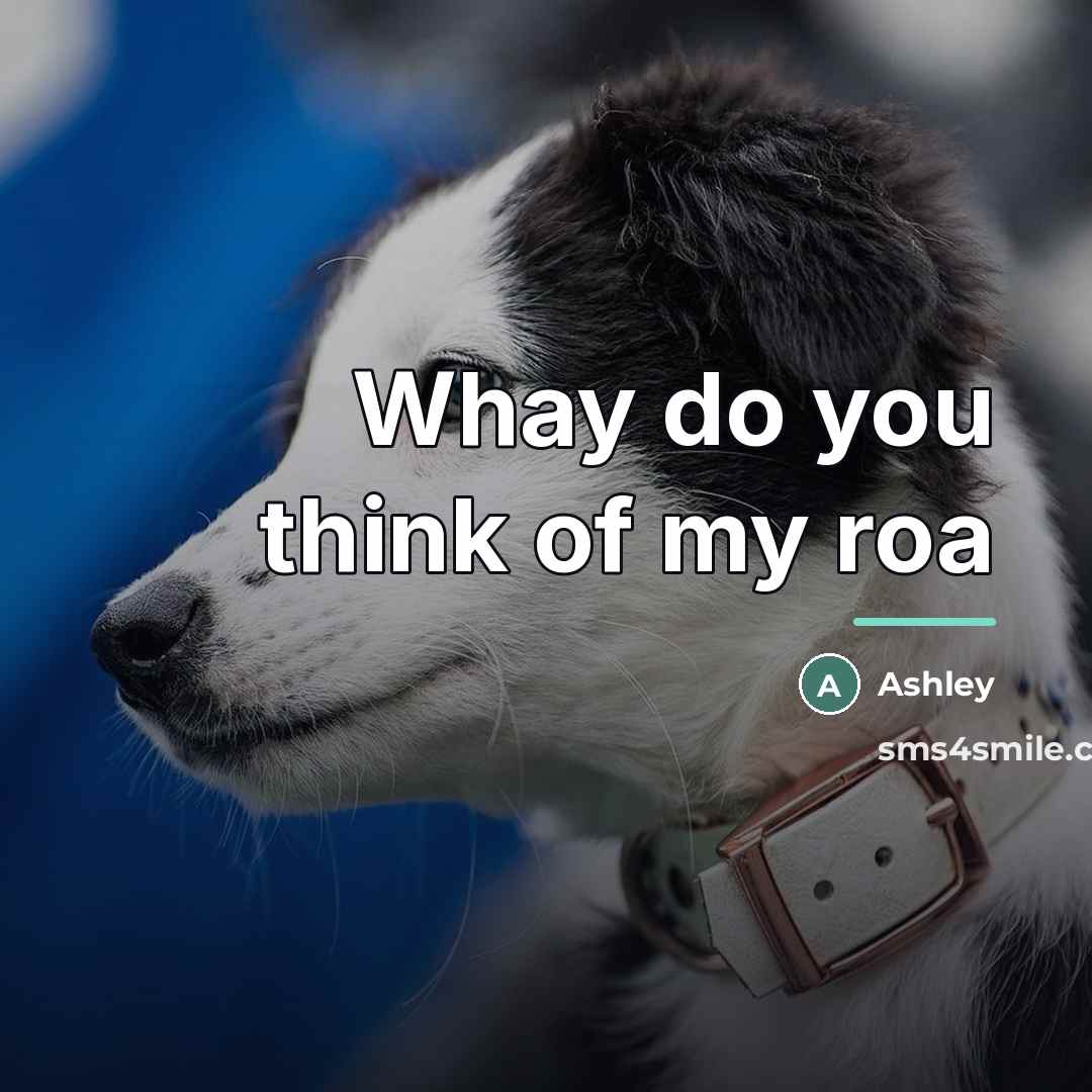 “Whay do you think of my roa…” quote by Ashley