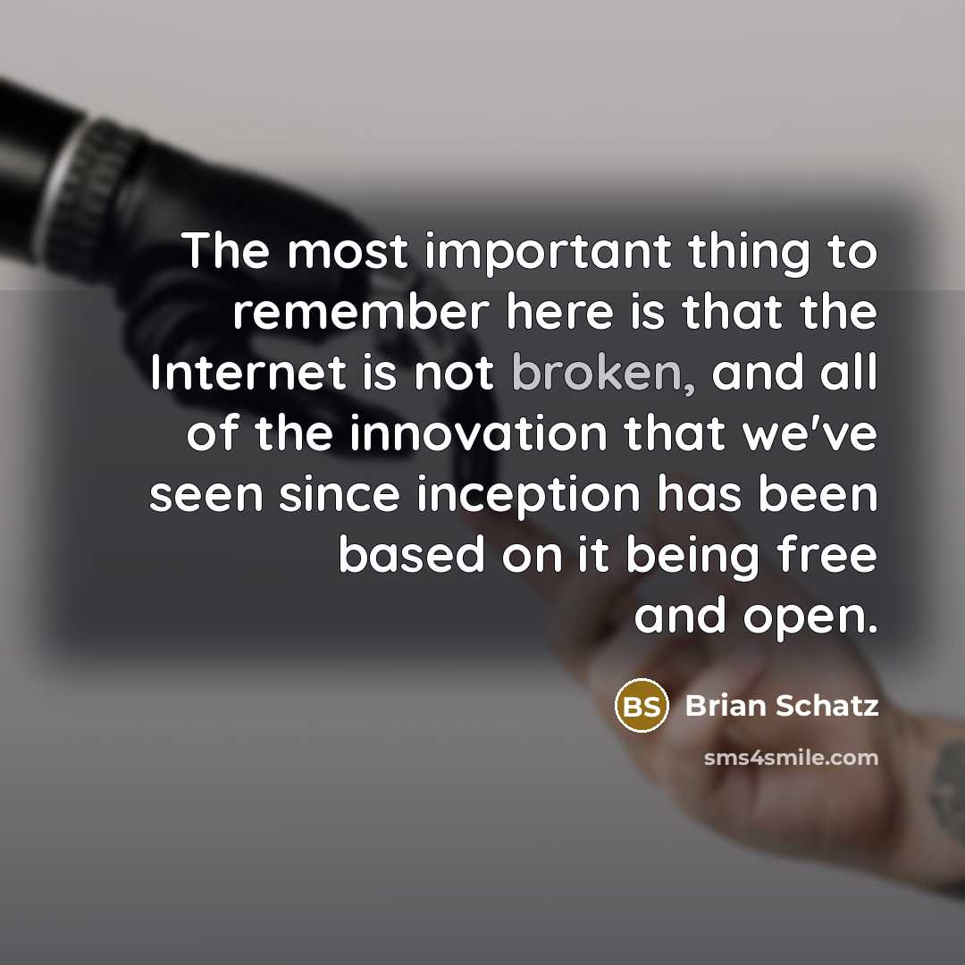 “The most important thing to remember here is that the…” quote by Brian Schatz