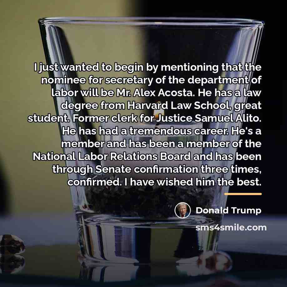 “I just wanted to begin by mentioning that the nominee…” quote by Donald Trump