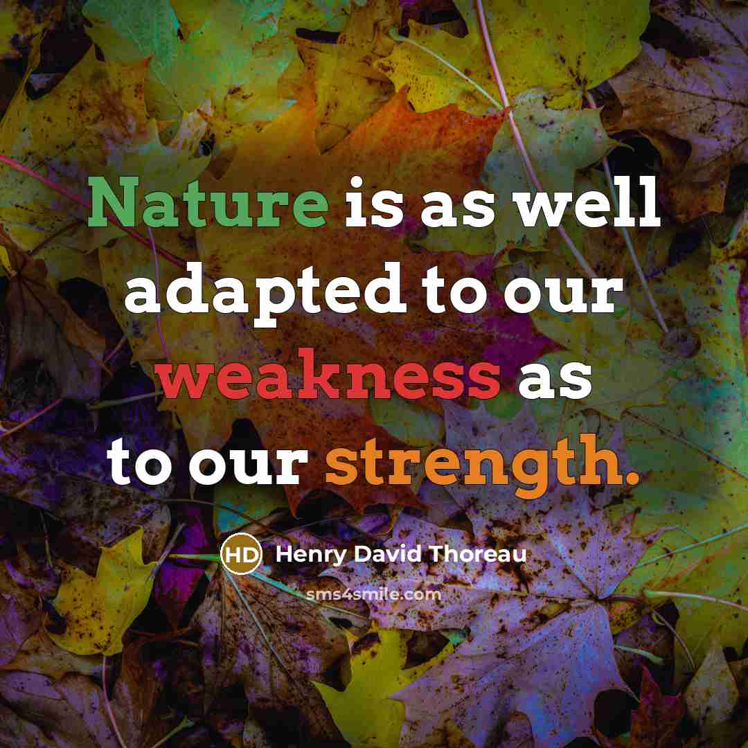 “Nature is as well adapted to our weakness as to…” quote by Henry David Thoreau