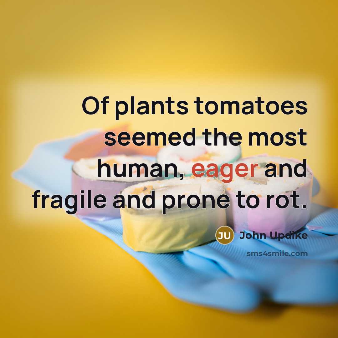 “Of plants tomatoes seemed the most human, eager and fragile…” quote by John Updike