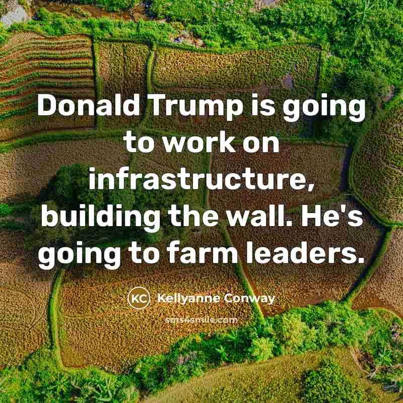 “Donald Trump is going to work on infrastructure, building the…” quote by Kellyanne Conway