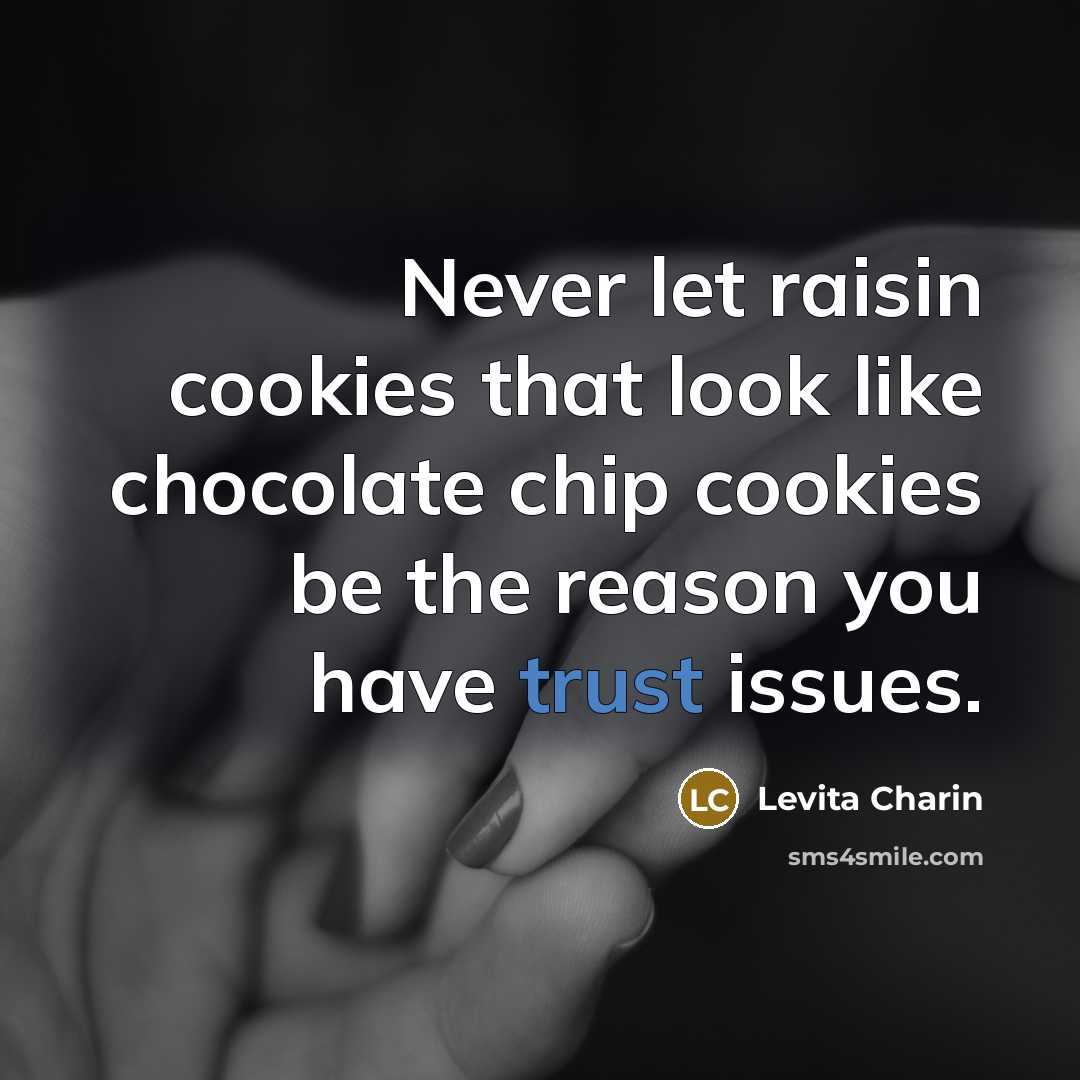 “Never let raisin cookies that look like chocolate chip cookies…” quote by Levita Charin