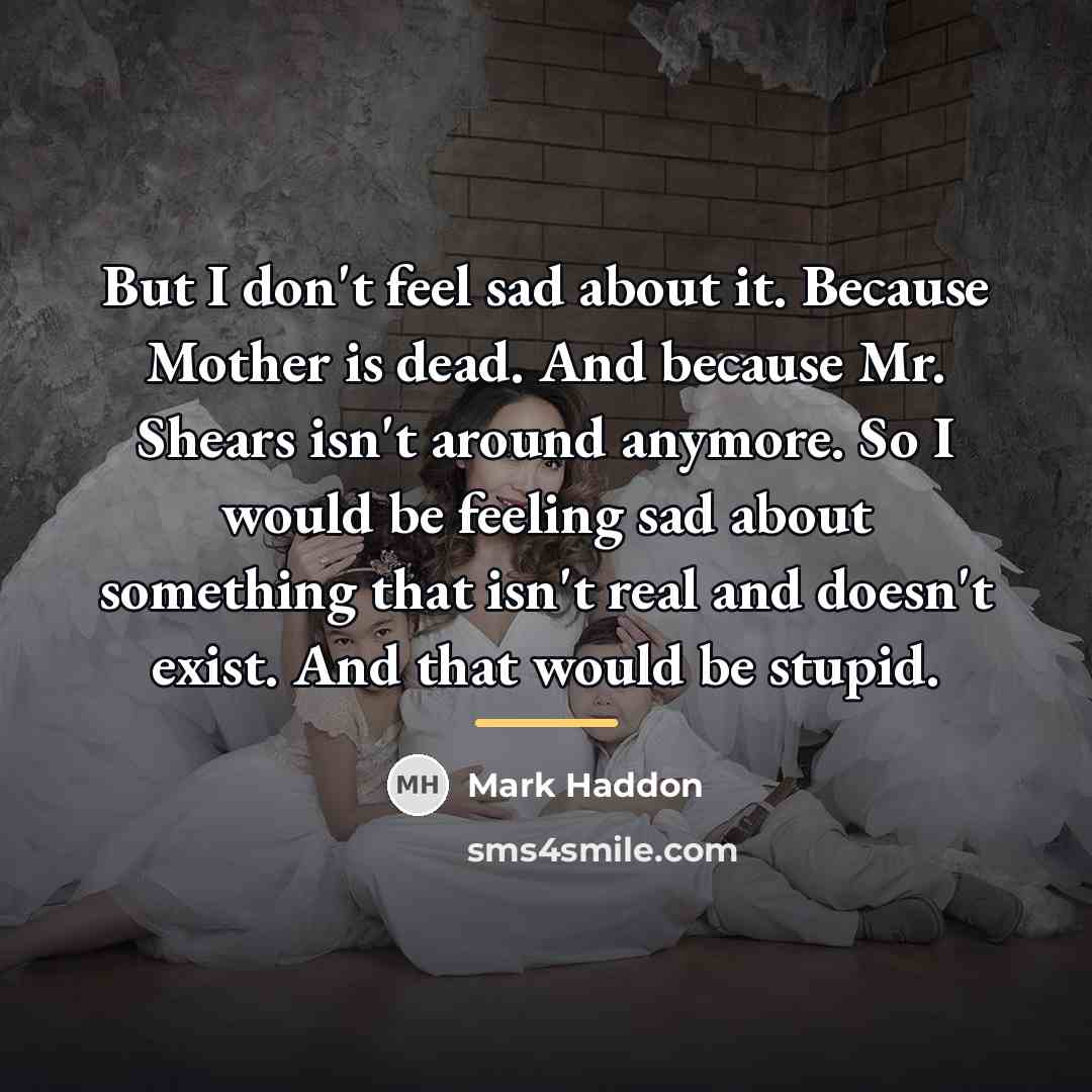 “But I don't feel sad about it. Because Mother is…” quote by Mark Haddon