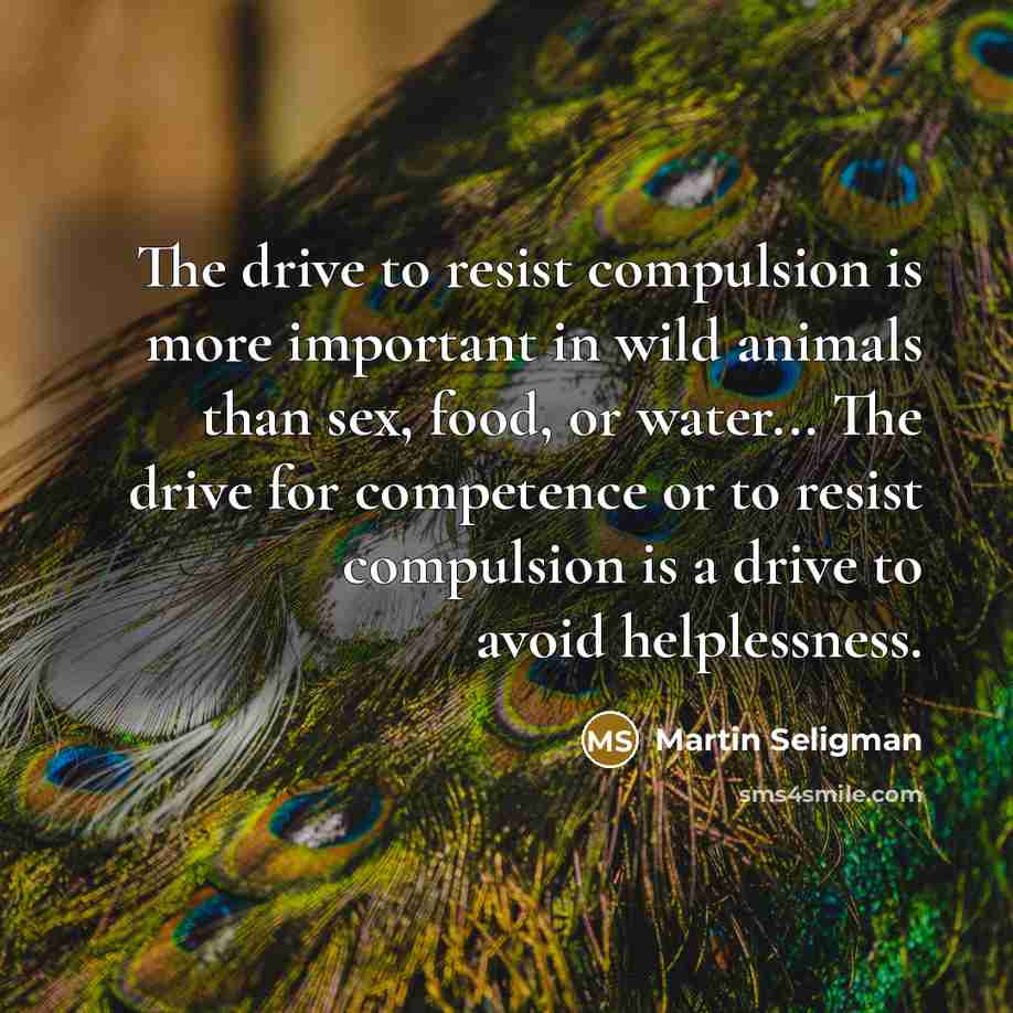 “The drive to resist compulsion is more important in wild…” quote by Martin Seligman