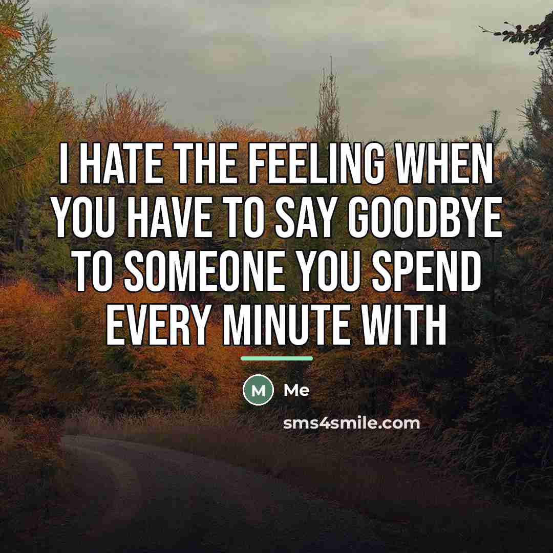 “I hate the feeling when you have to say goodbye…” quote by Me