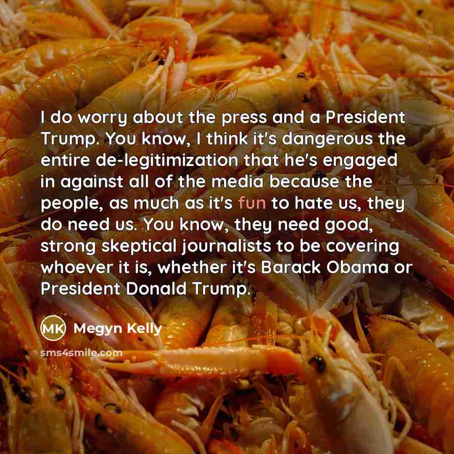 “I do worry about the press and a President Trump.…” quote by Megyn Kelly