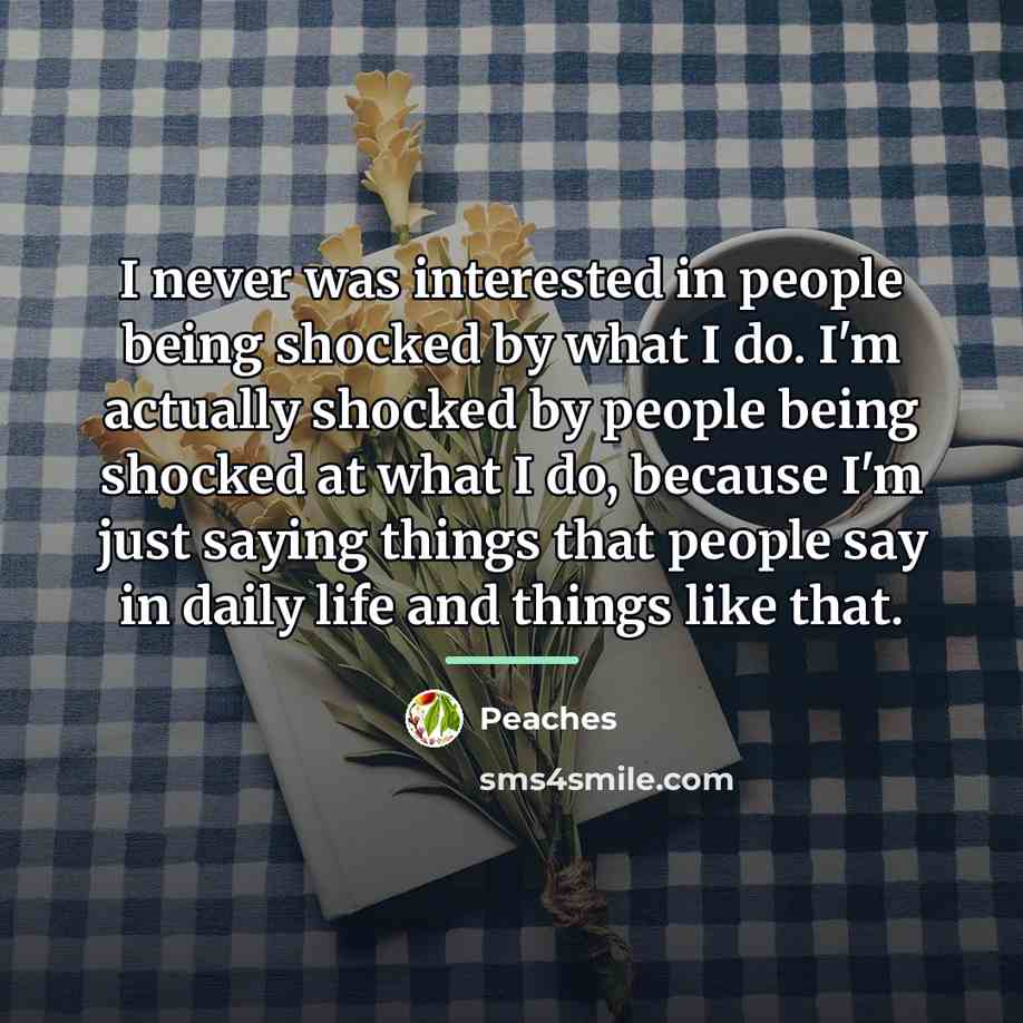 “I never was interested in people being shocked by what…” quote by Peaches