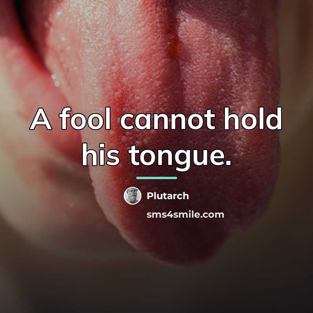 “A fool cannot hold his tongue.…” quote by Plutarch