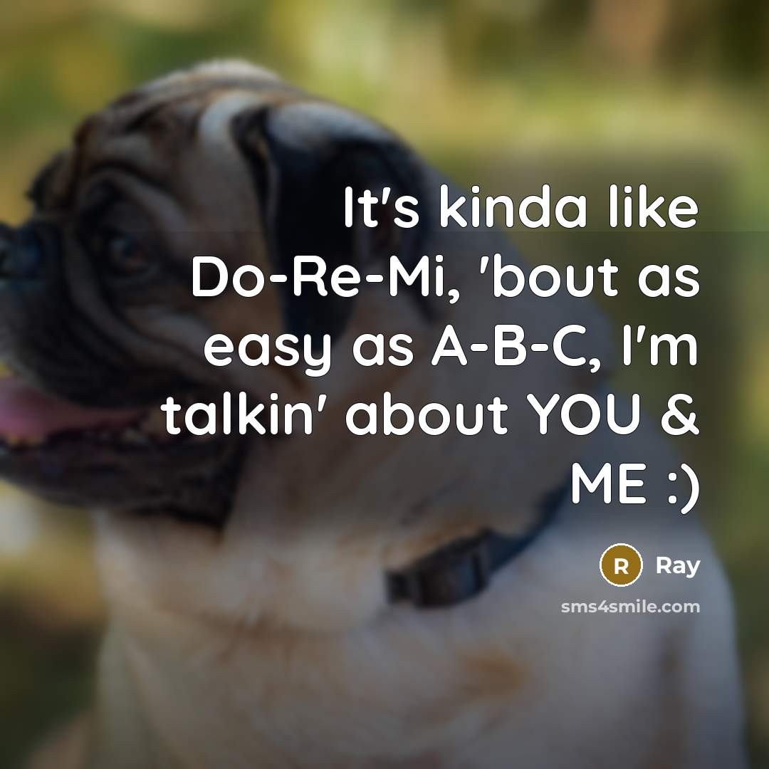 “It's kinda like Do-Re-Mi, 'bout as easy as A-B-C, I'm talkin' about YOU & ME :)” quote by Ray