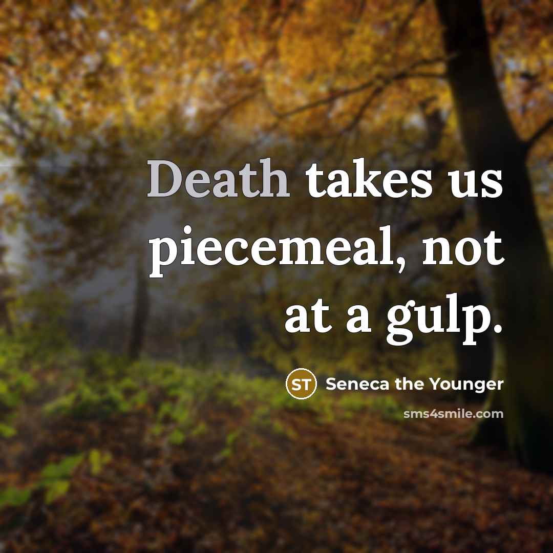 “Death takes us piecemeal, not at a gulp.…” quote by Seneca the Younger