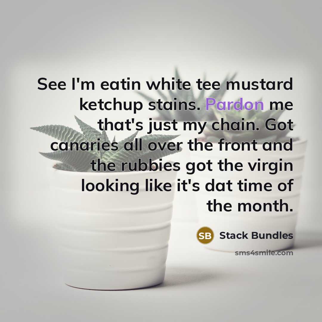 “See I'm eatin white tee mustard ketchup stains. Pardon me…” quote by Stack Bundles