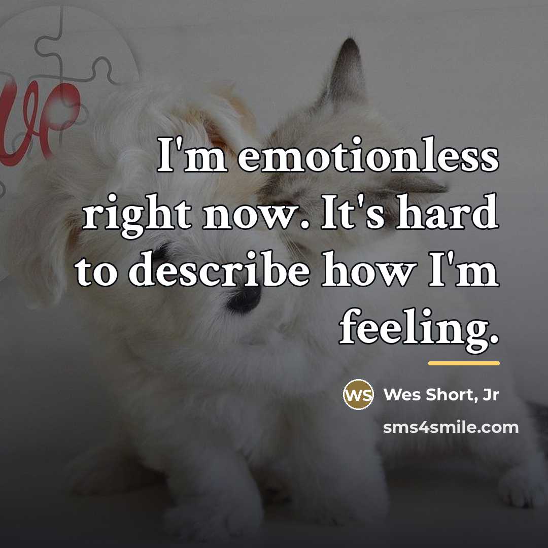 “I'm emotionless right now. It's hard to describe how I'm…” quote by Wes Short Jr