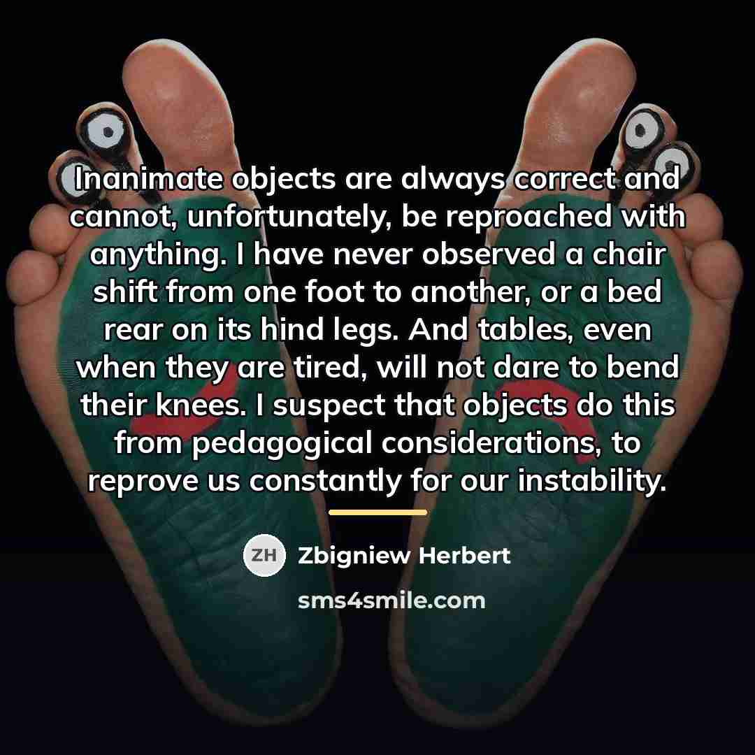 “Inanimate objects are always correct and cannot, unfortunately, be reproached…” quote by Zbigniew Herbert