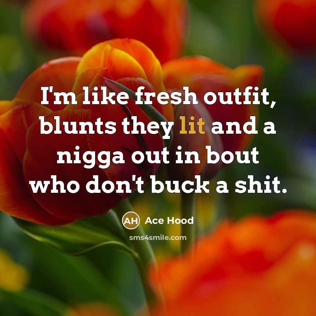 “I'm like fresh outfit, blunts they lit and a nigga out in bout who don't buck a shit.” quote by Ace Hood