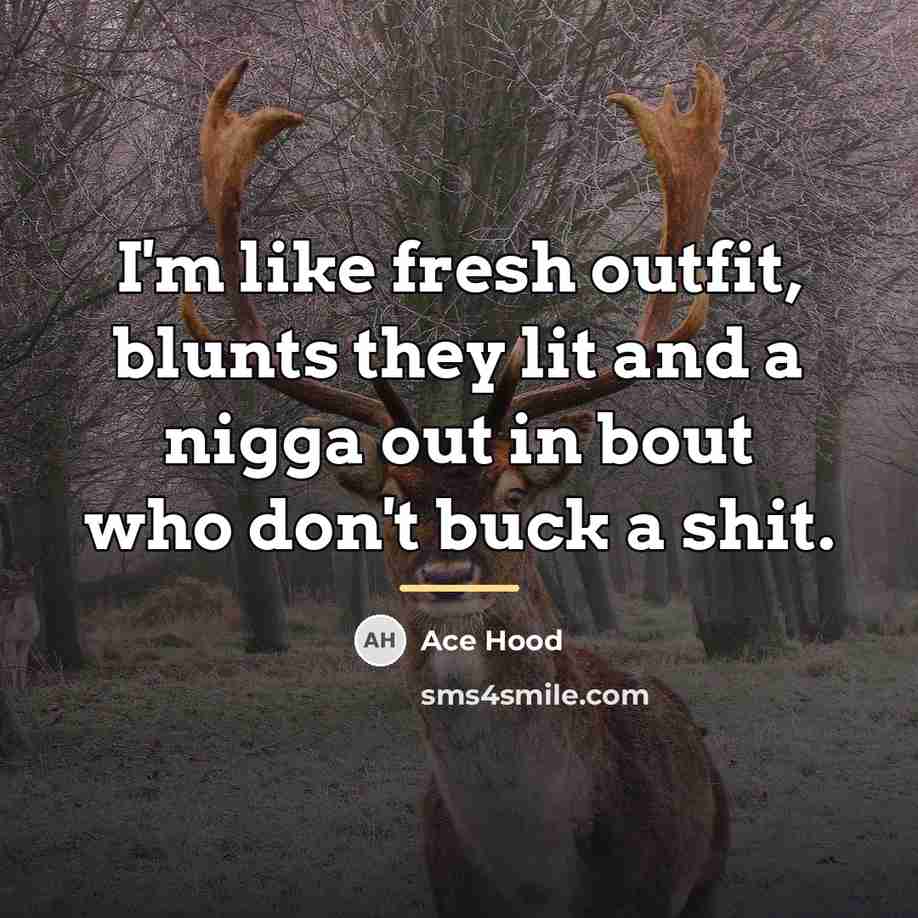 “I'm like fresh outfit, blunts they lit and a nigga…” quote by Ace Hood