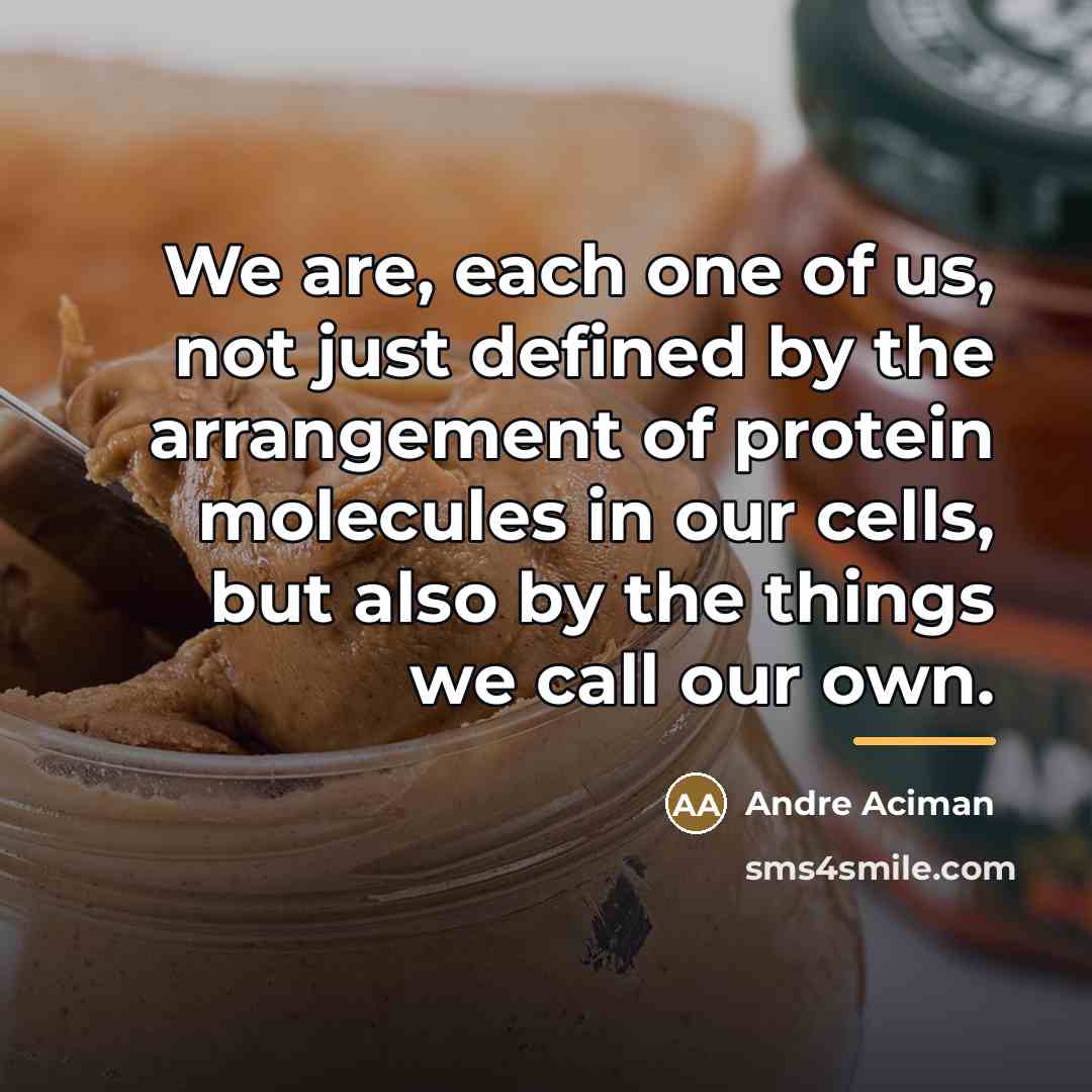 “We are, each one of us, not just defined by…” quote by Andre Aciman