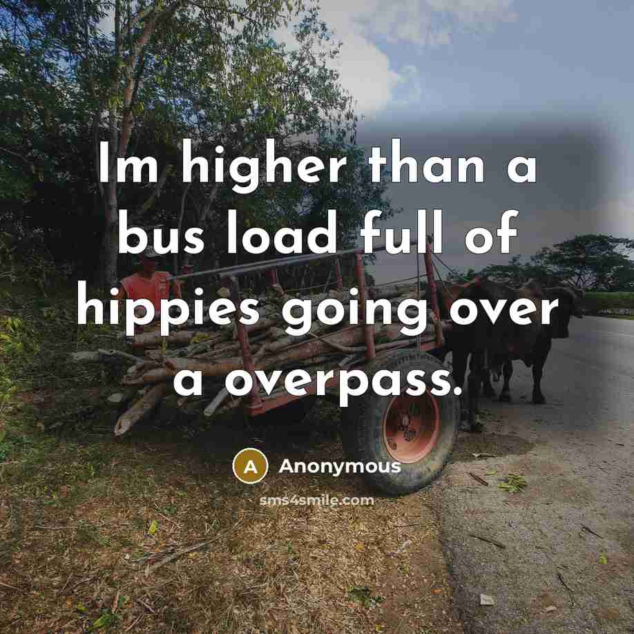 “Im higher than a bus load full of hippies going over a overpass.” quote by Anonymous