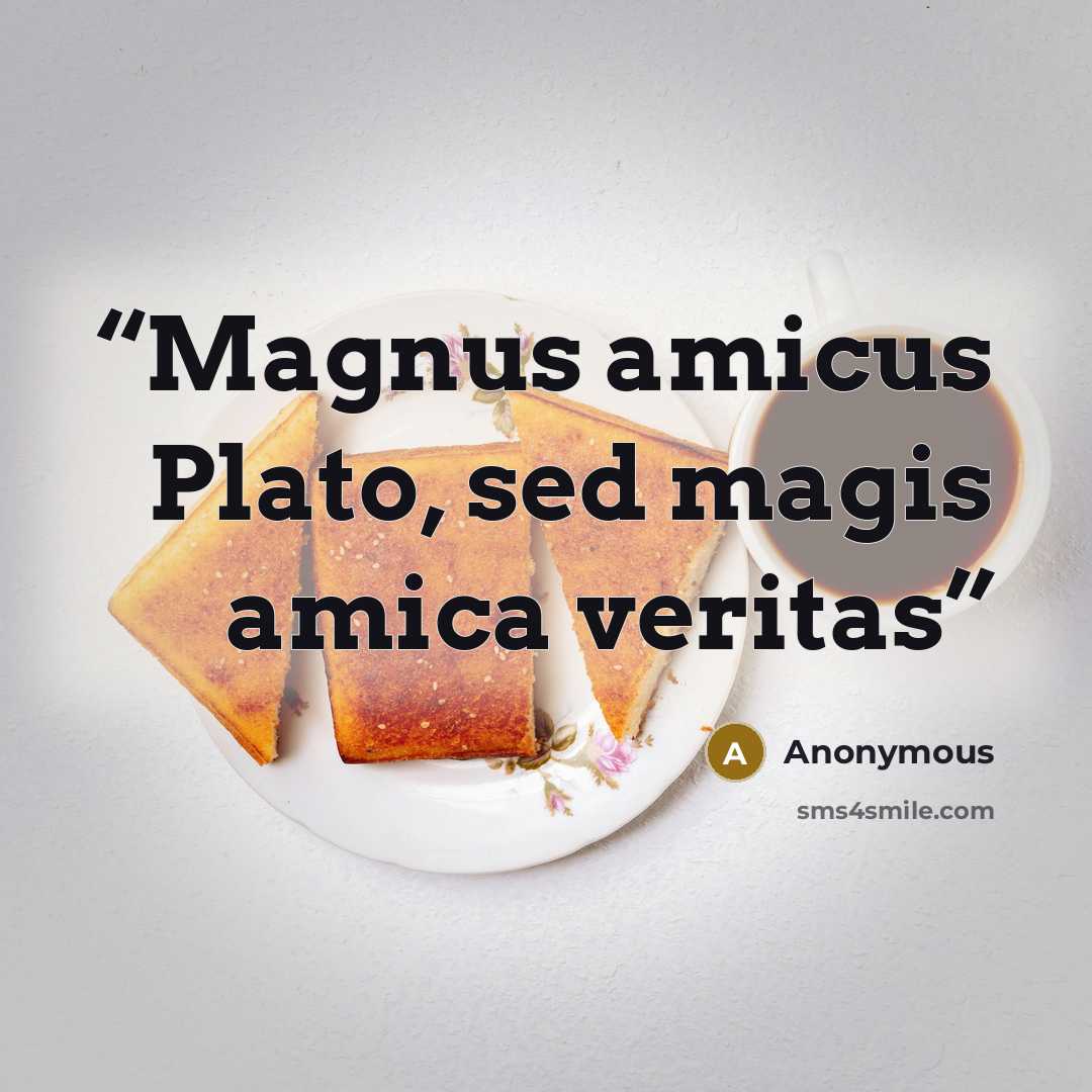 “Magnus amicus Plato, sed magis amica veritas” quote by Anonymous