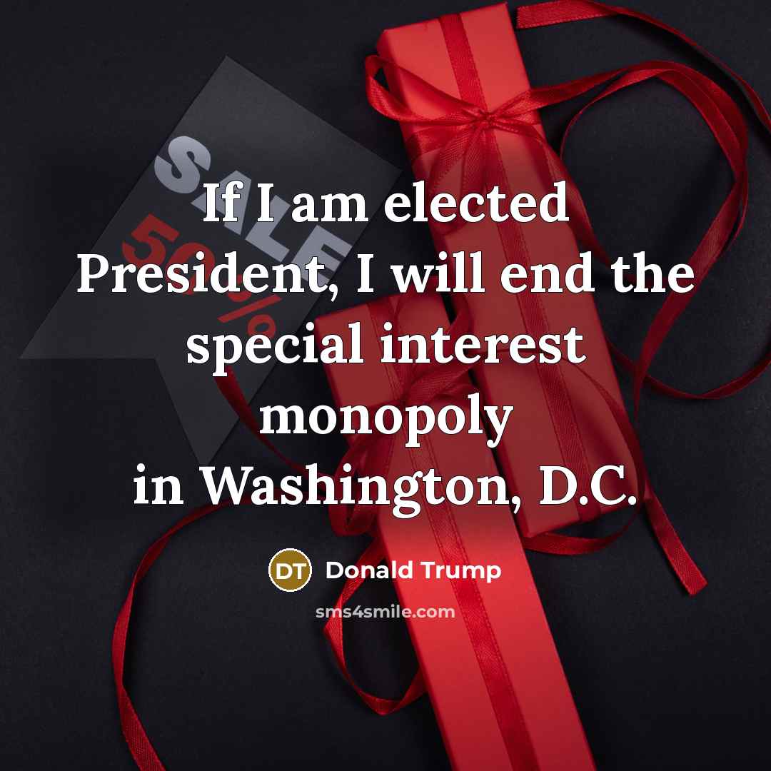 “If I am elected President, I will end the special…” quote by Donald Trump