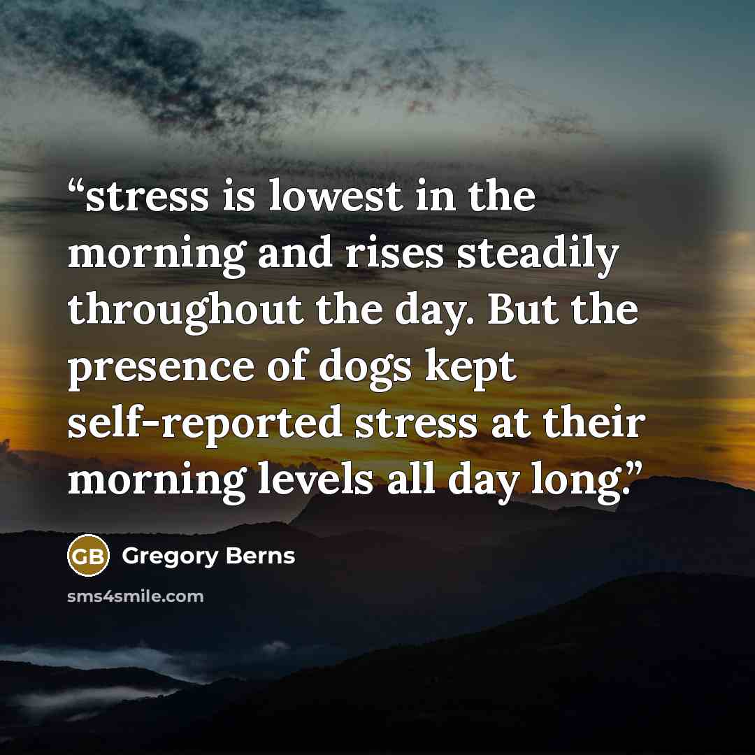 “stress is lowest in the morning and rises steadily throughout the day. But the presence of dogs kept self-reported stress at their morning levels all day long.” quote by Gregory Berns