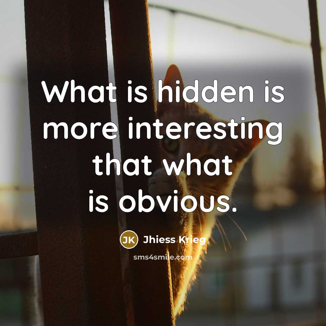 “What is hidden is more interesting that what is obvious.…” quote by Jhiess Krieg