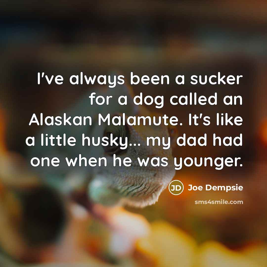 “I've always been a sucker for a dog called an…” quote by Joe Dempsie