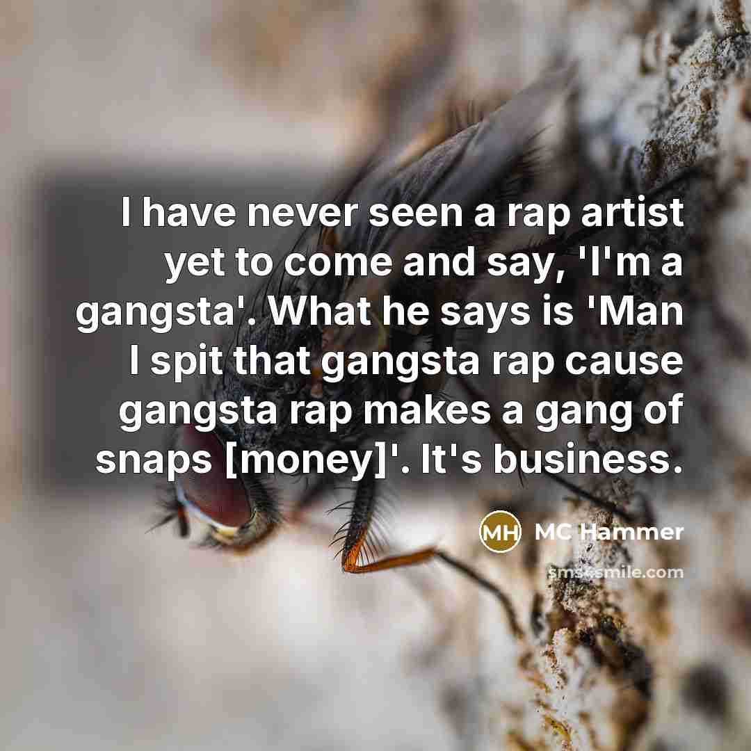 “I have never seen a rap artist yet to come…” quote by MC Hammer
