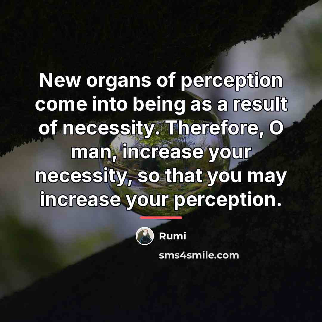“New organs of perception come into being as a result…” quote by Rumi