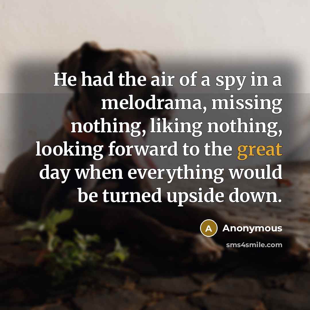 “He had the air of a spy in a melodrama,…” quote by Anonymous