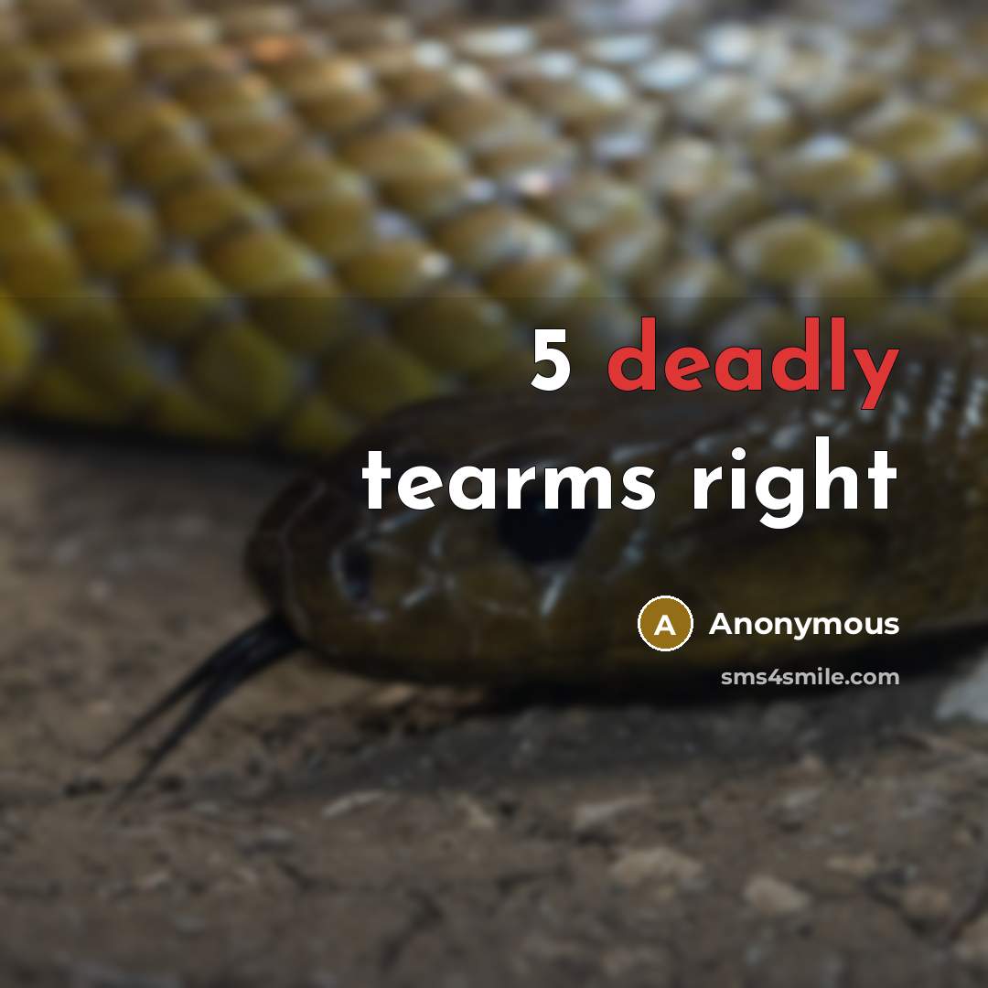 “5 deadly tearms right” quote by Anonymous