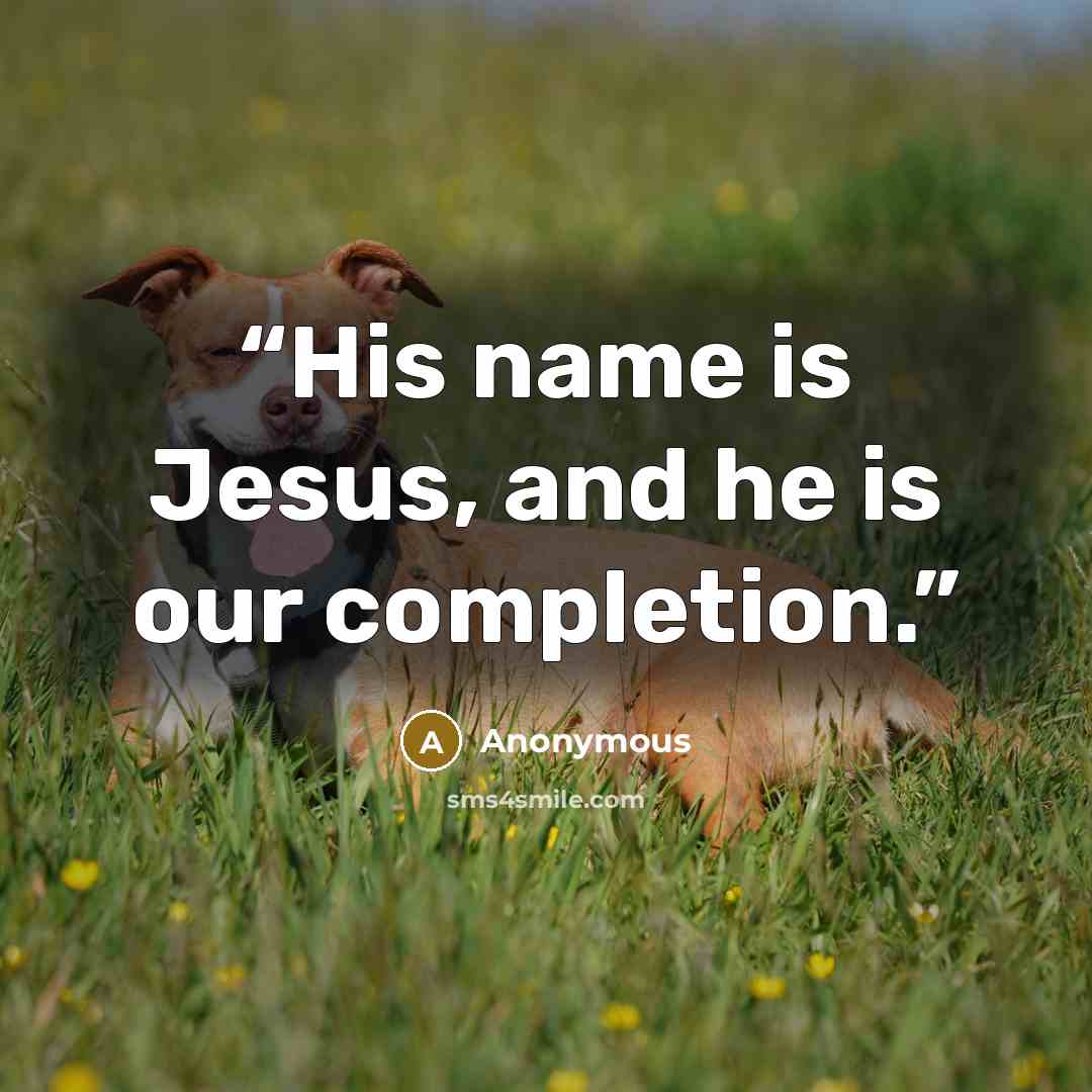 “His name is Jesus, and he is our completion.” quote by Anonymous