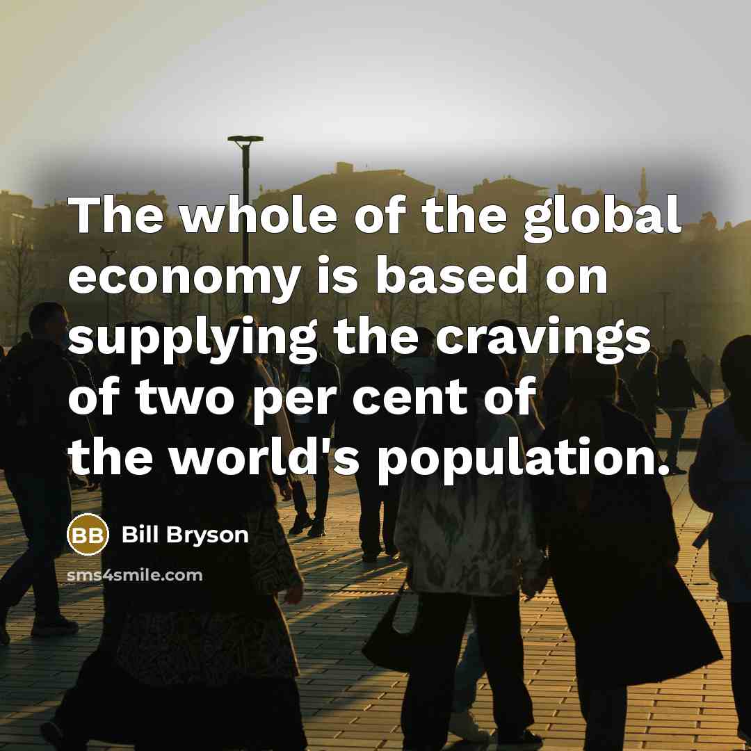 “The whole of the global economy is based on supplying…” quote by Bill Bryson
