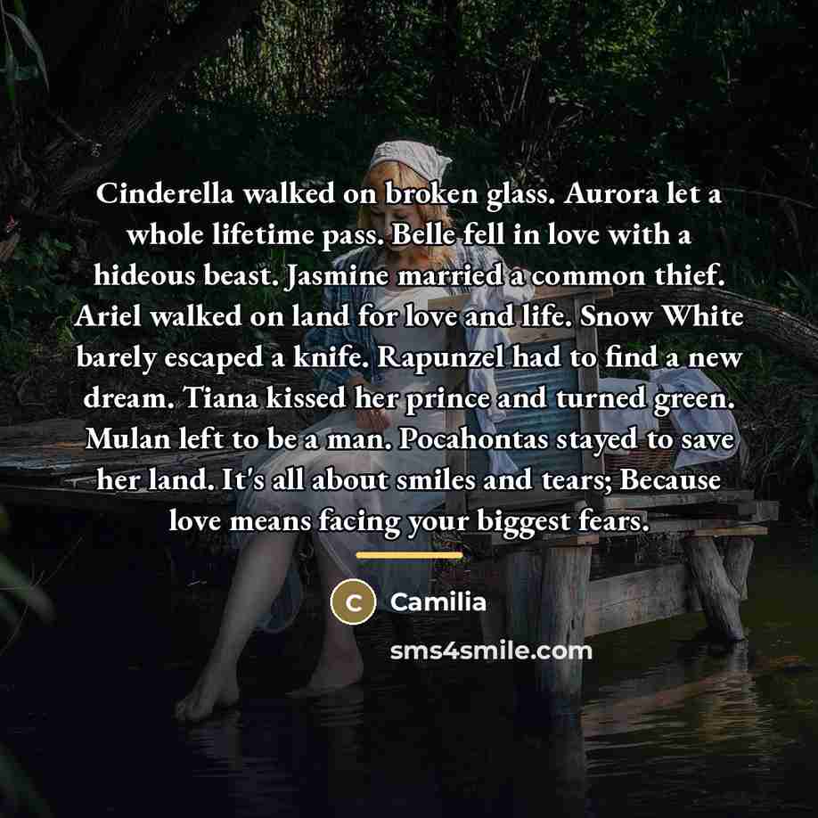 “Cinderella walked on broken glass. Aurora let a whole lifetime…” quote by Camilia