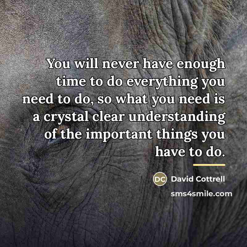 “You will never have enough time to do everything you…” quote by David Cottrell