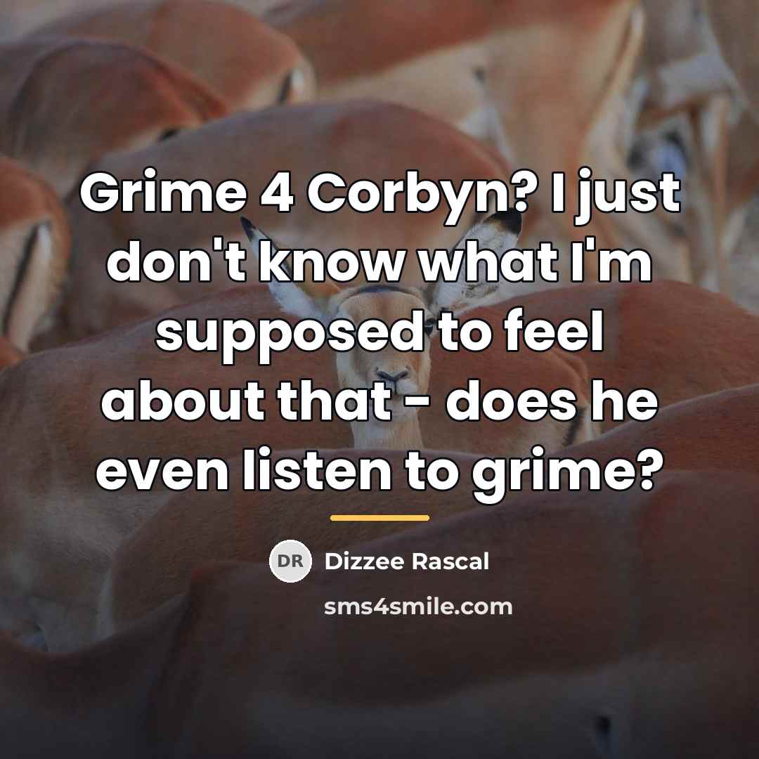 “Grime 4 Corbyn? I just don't know what I'm supposed…” quote by Dizzee Rascal