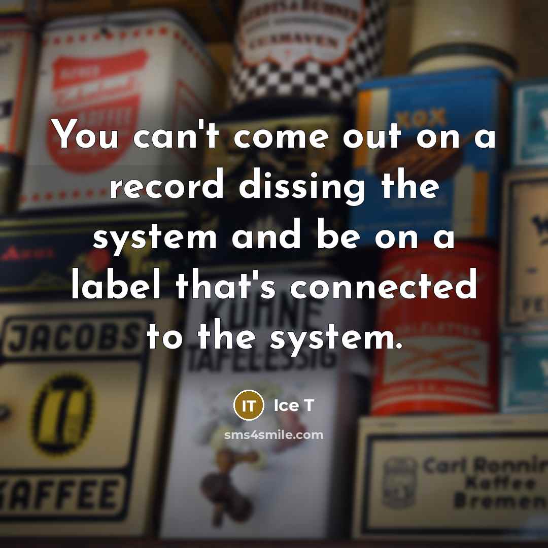 “You can't come out on a record dissing the system…” quote by Ice T